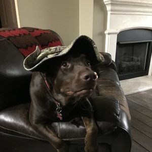 Meet your Posher, Sherry